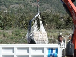sollevamento con rete_1024x576
